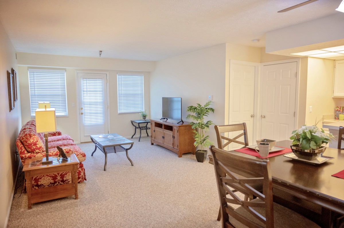 Cozy living and dining area with natural light, featuring a sofa, television, and dining table set.