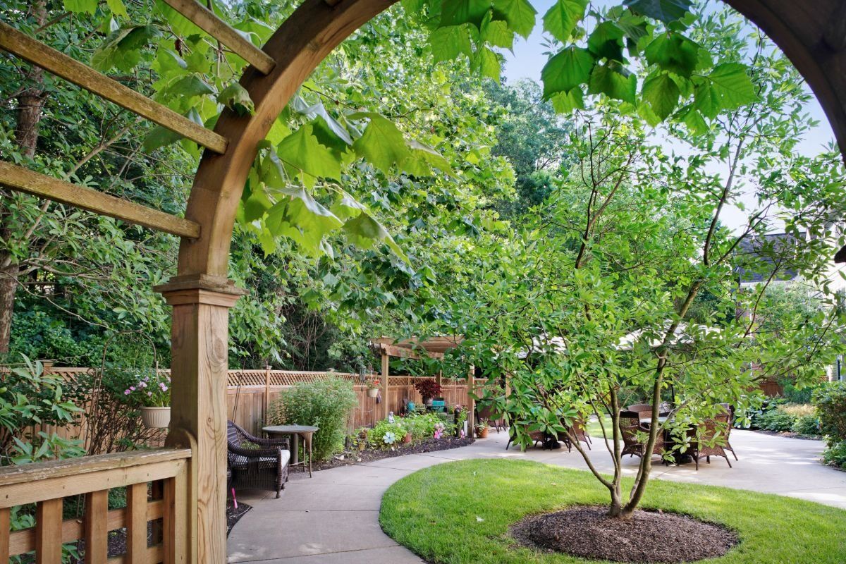 A serene garden with a curved pathway and wooden archway surrounded by lush greenery.