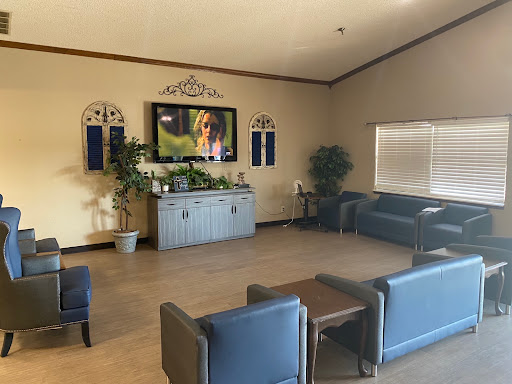 A cozy waiting room featuring blue furniture, a television, and greenery for a welcoming atmosphere.