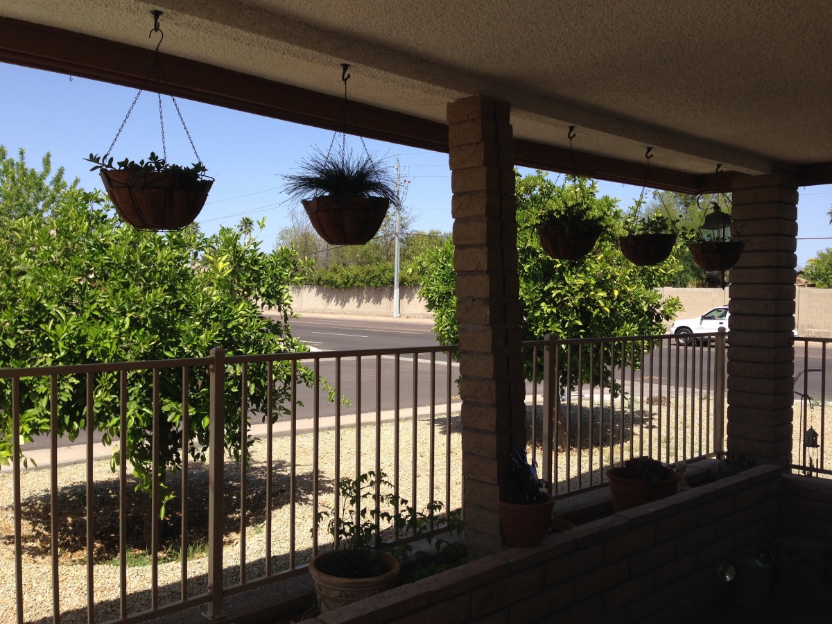 A sunny day view of a porch with hanging plants and trees beyond a fence.