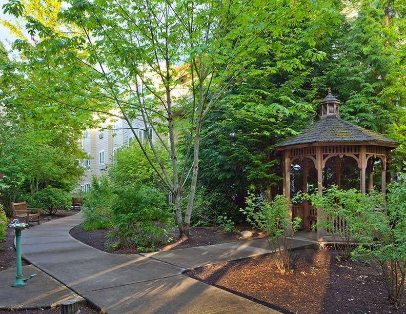 A serene garden setting with a wooden gazebo and winding pathway surrounded by lush greenery.