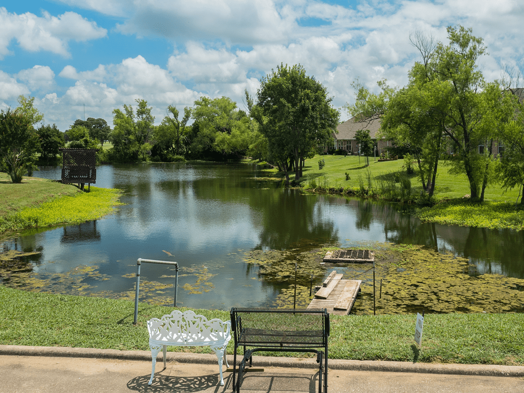 A tranquil lakeside view with benches and lush greenery under a partly cloudy sky.