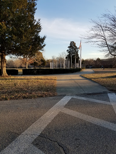 A serene park pathway surrounded by trees, inviting a peaceful stroll.