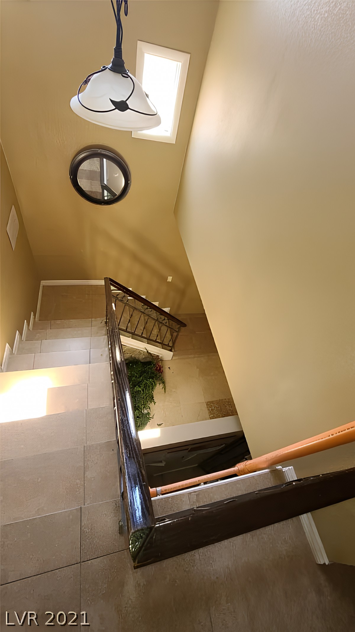 A well-lit staircase with a railing and plants in a house interior.