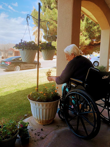 An elderly person in a wheelchair tending to plants on a sunny day.
