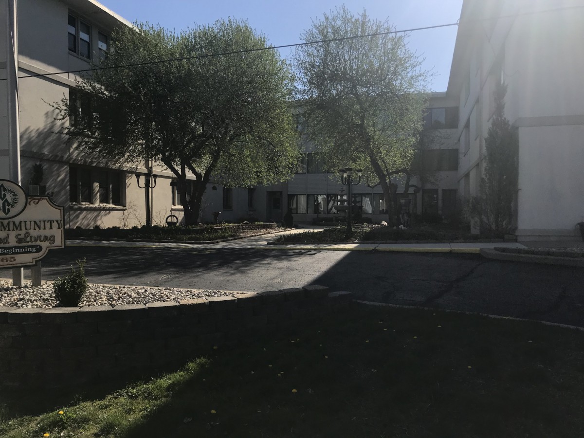 A courtyard with trees casting shadows on a sunny day between buildings.