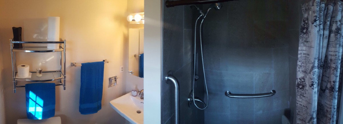 A modern bathroom featuring a shower with a handheld spray and a sleek sink area.