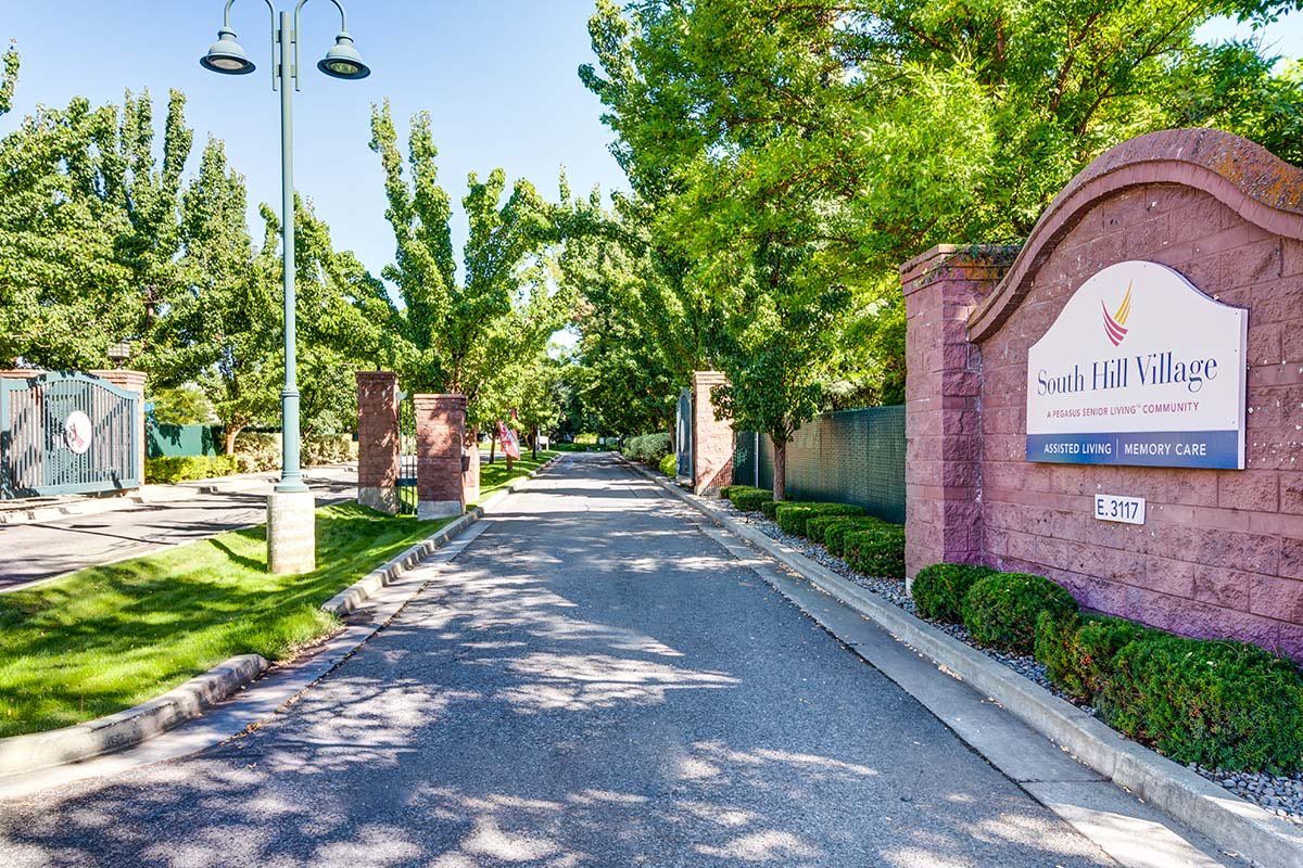 A picturesque driveway lined with trees and bordered by brick walls, leading to an entrance.