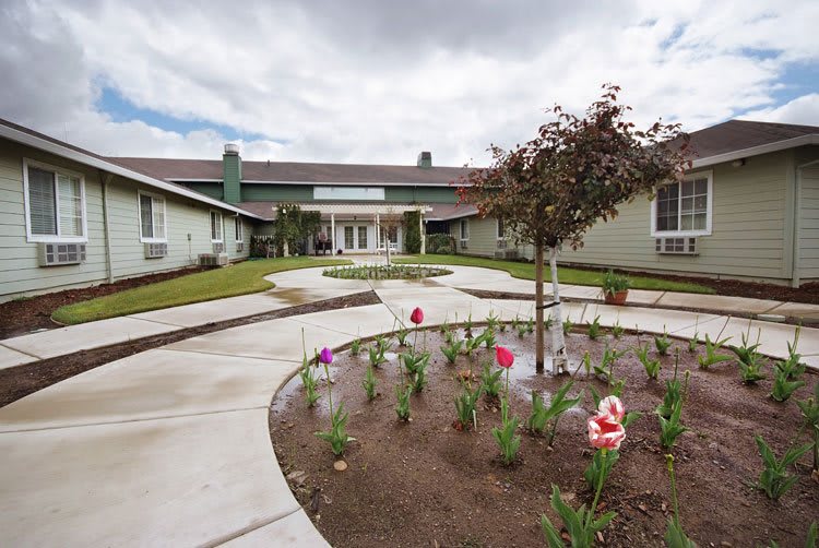 A well-maintained garden with colorful flowers in front of a modern building on a cloudy day.