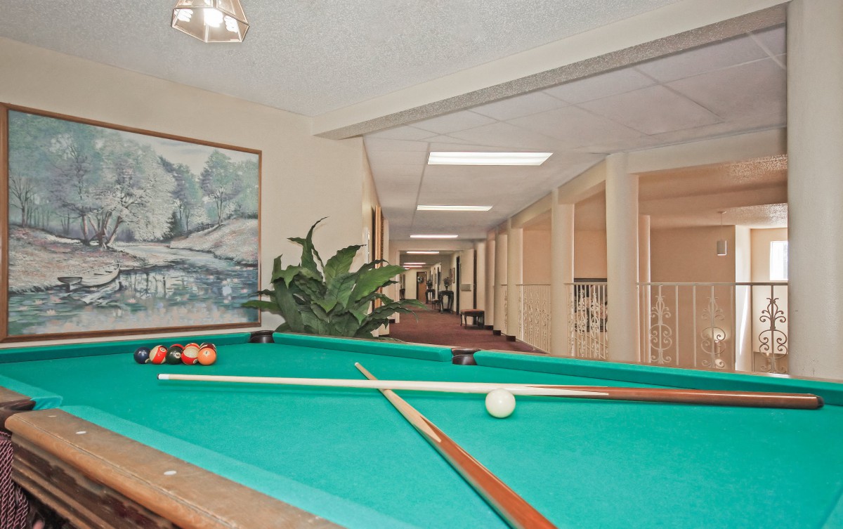 An indoor recreation space featuring a pool table and a hallway with plants and artwork.