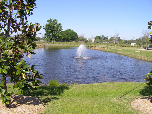 Senior Village Nursing & Rehabilitation Center