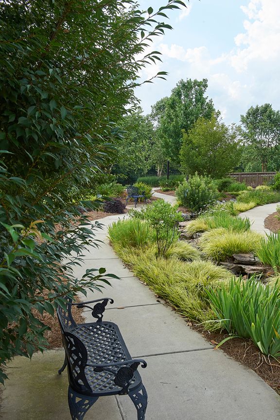 A scenic park pathway lined with lush greenery and benches.
