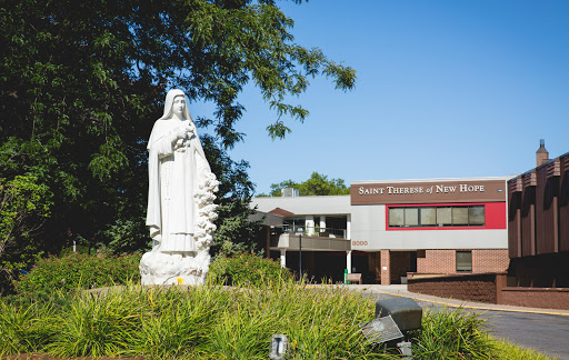 A serene view of a statue in front of a modern building, surrounded by lush greenery.
