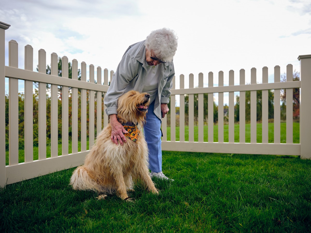 An elderly person affectionately petting a dog in a fenced yard.