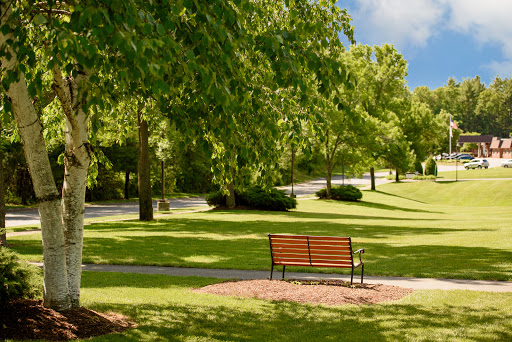 A serene park setting featuring a wooden bench surrounded by lush green trees.