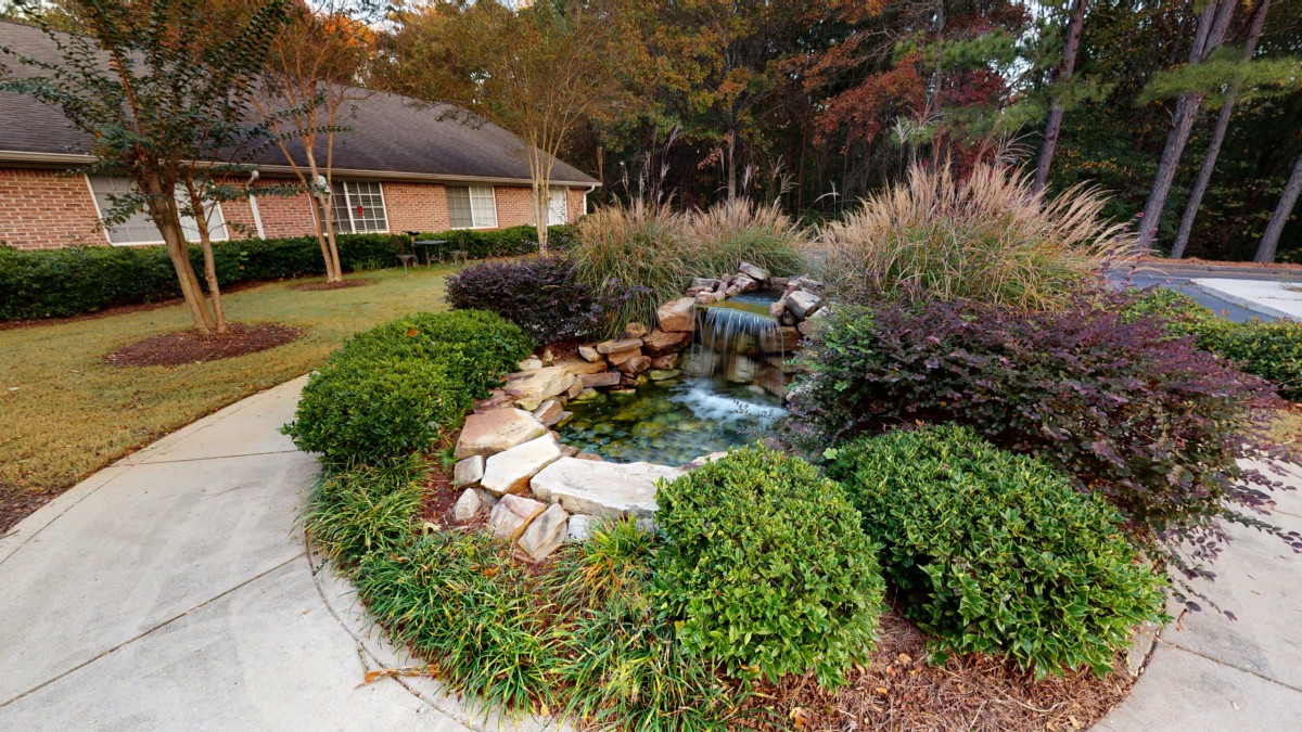 A serene garden with a small pond and waterfall surrounded by lush greenery.