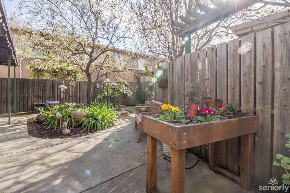 A sunny backyard garden with blooming flowers and lush greenery.