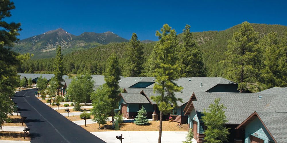 A scenic view of buildings nestled among trees with mountains in the background.