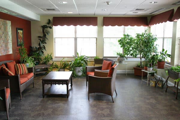 A well-lit waiting room with comfortable seating and greenery.