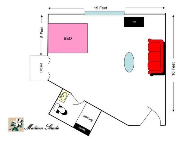 A floor plan of a medium studio apartment featuring a bed, couch, and bathroom.