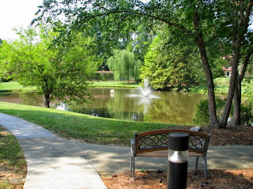 A serene park scene featuring a tranquil lake, surrounded by lush greenery and a peaceful bench.
