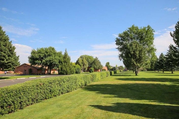 A lush green park with neatly trimmed grass and hedges under a clear blue sky.