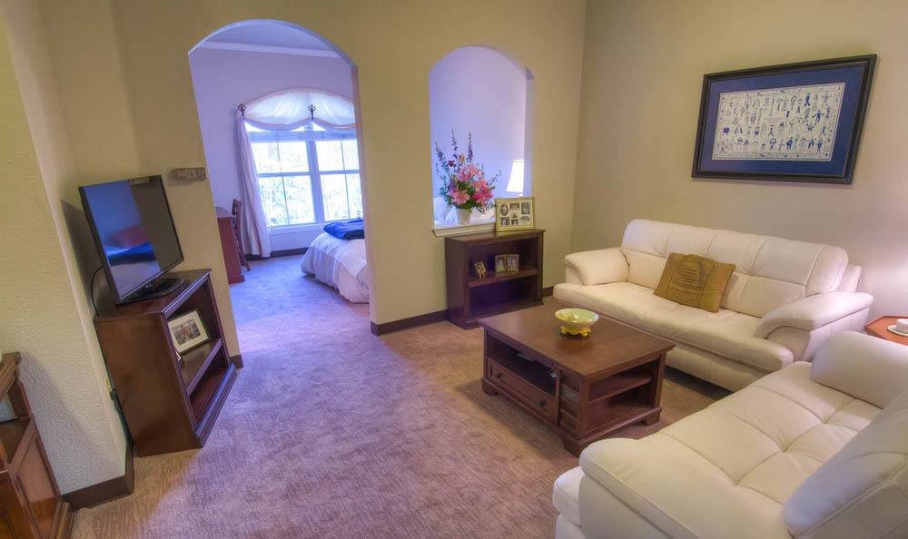 A cozy living room with a comfortable sofa and warm decor.