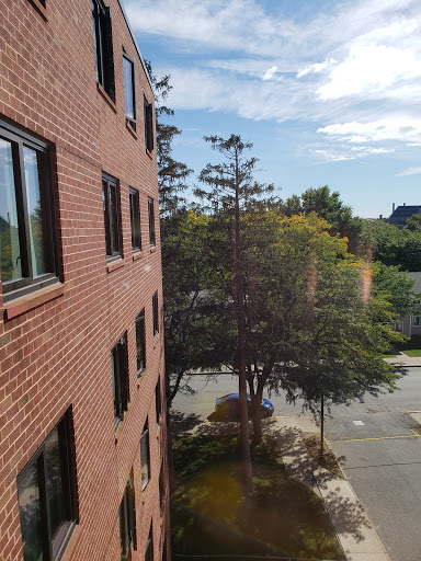 A view from a window showcasing a brick building, a tree, and a clear sky.