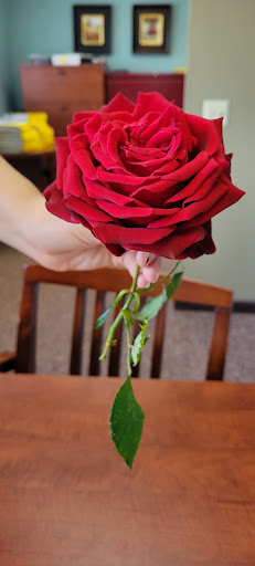 A vibrant red rose held delicately in a hand, showcasing its lush petals and green stem.