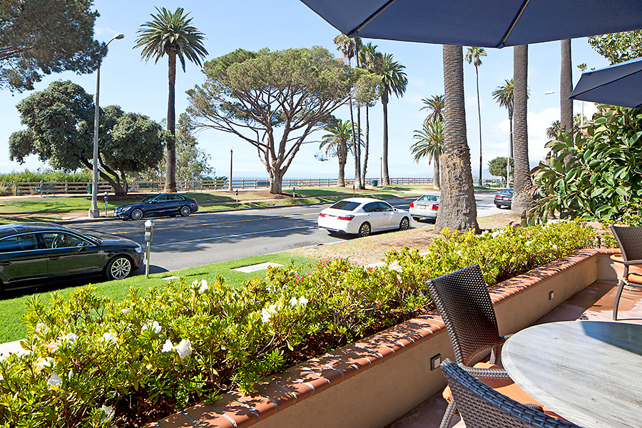 A scenic outdoor seating area with a view of palm trees and the ocean under a bright sunny sky.