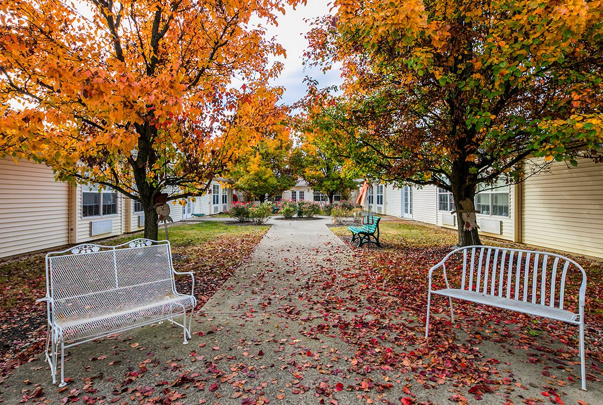 A peaceful park pathway lined with benches and vibrant autumn foliage.
