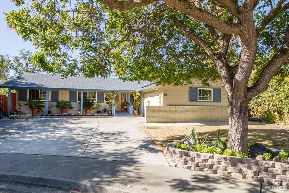 A cozy residential house with a tree and driveway in the sunlight.