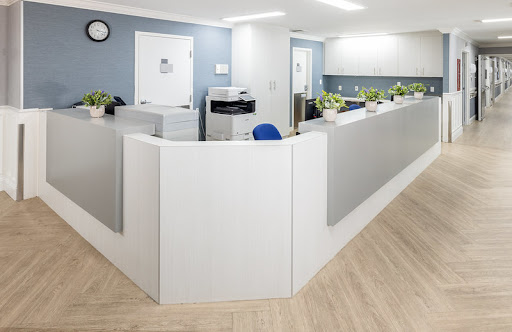 A modern office reception area featuring sleek design and greenery.