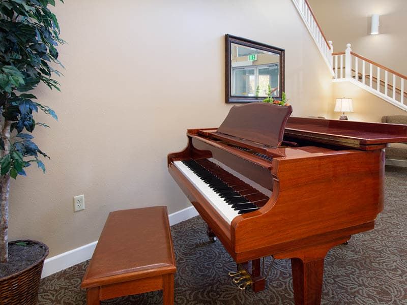 A beautiful grand piano with a matching bench in a well-decorated room.