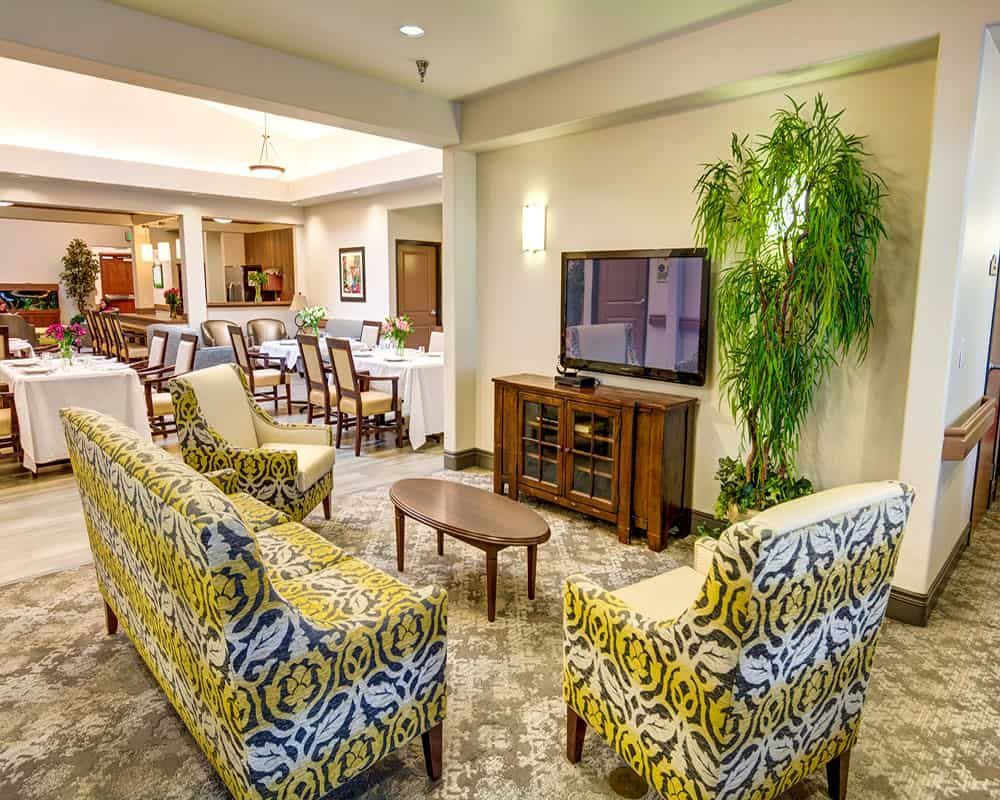 A cozy living and dining area with modern furniture, vibrant seating, a television, and an indoor plant.