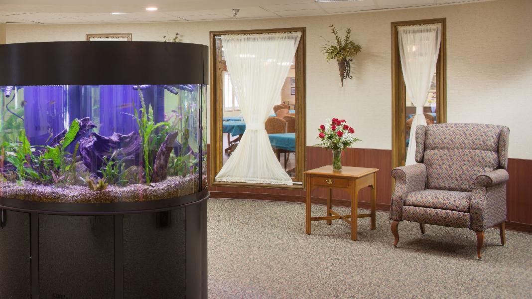A cozy lobby area featuring an aquarium, comfortable seating, and decorative plants.