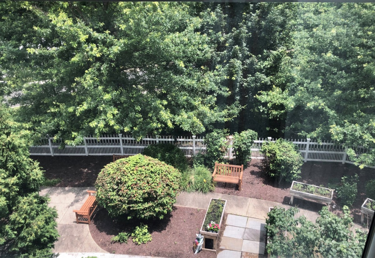 A tranquil garden with benches, surrounded by lush greenery and a white fence.