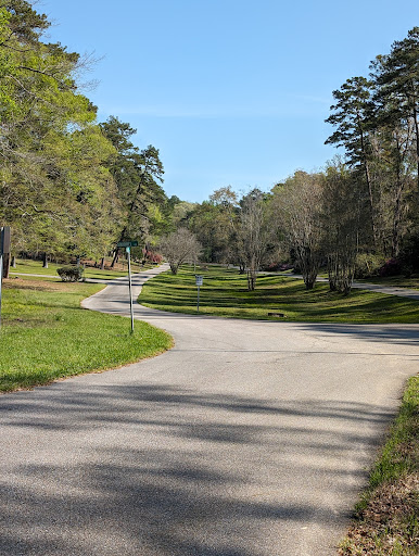 A serene winding road surrounded by lush greenery and trees, inviting a peaceful drive through nature.