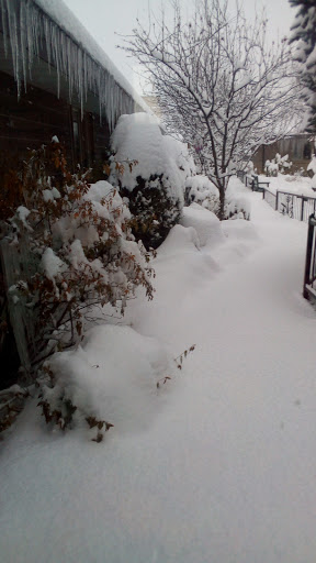 A serene winter scene blanketed in fresh snow.