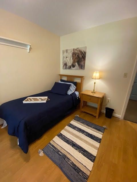 A cozy bedroom with a single bed, nightstand, lamp, and decorative rug.