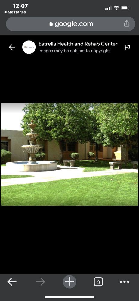 A tranquil garden scene featuring a central fountain surrounded by lush greenery and benches.