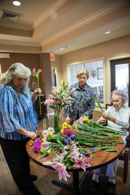The Courtyards Senior Livingjohnson City