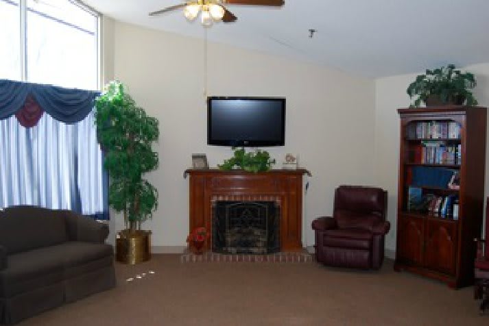 A cozy living room featuring a fireplace, television, armchair, and indoor plant.