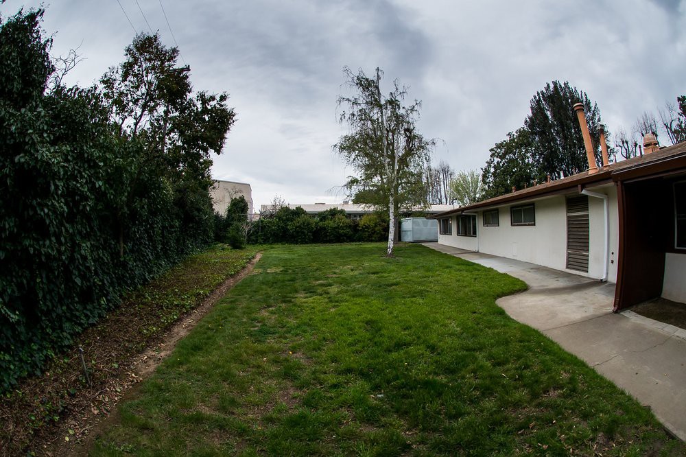 A backyard with a grassy area, surrounded by trees and a house under a cloudy sky.