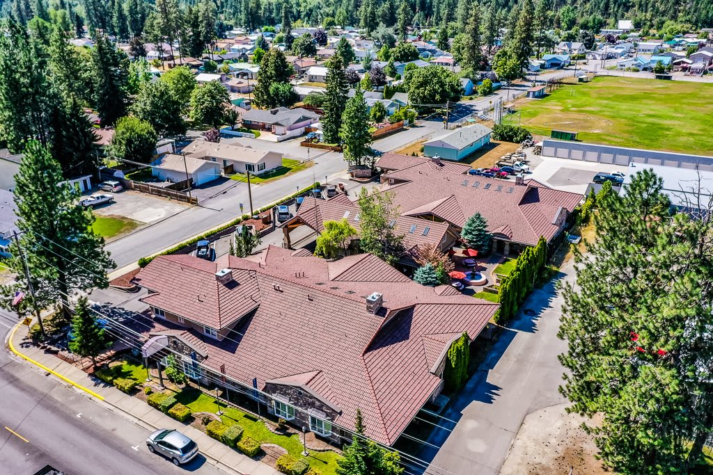 Aerial view of a suburban residential area with houses and trees.