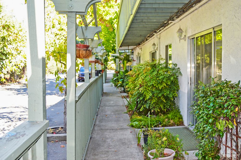 A sunny apartment walkway adorned with lush greenery and potted plants.
