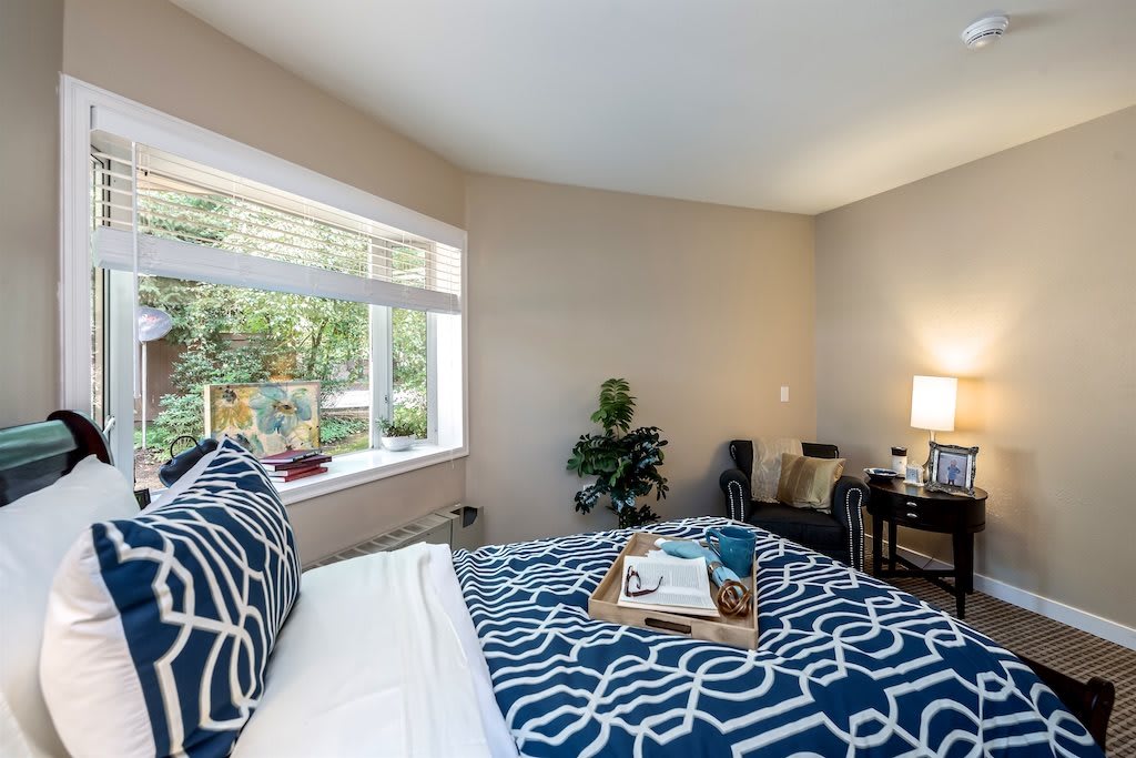 A cozy bedroom with a large window, featuring a bed with blue patterned bedding, side table with a lamp, and decorative plants.