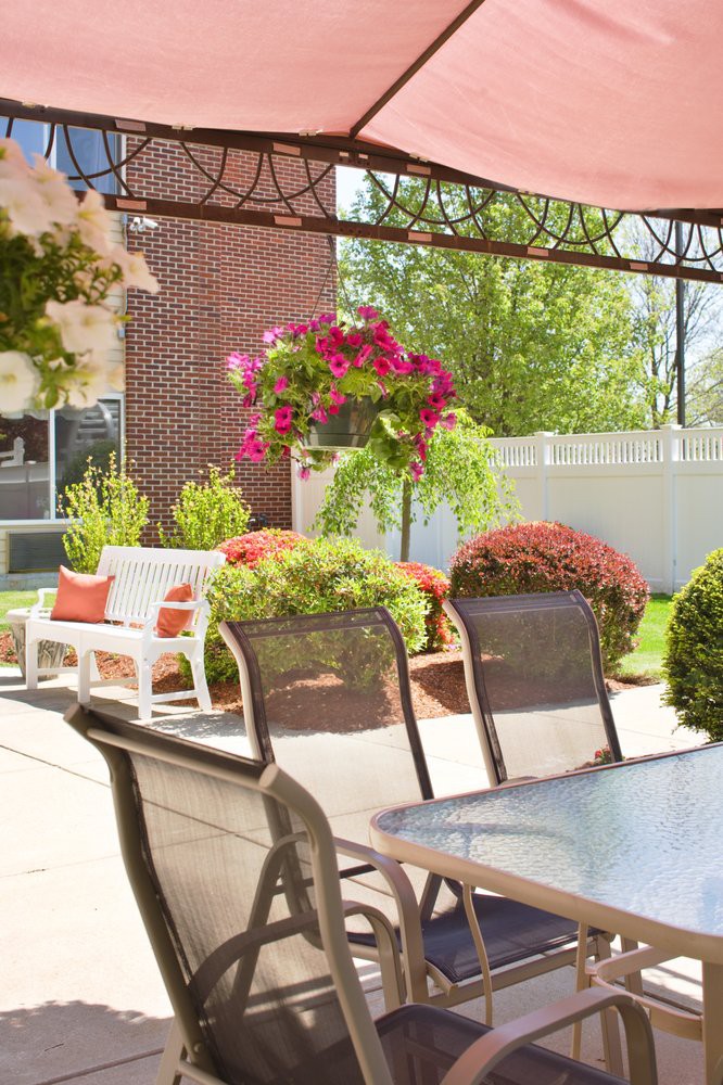 A sunny patio with outdoor furniture and vibrant garden plants.