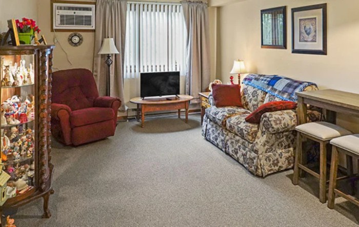 A cozy living room with a patterned sofa, armchair, television, and natural lighting.