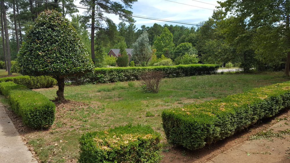 A well-maintained garden with various shrubs, bushes, and trees under a clear sky.